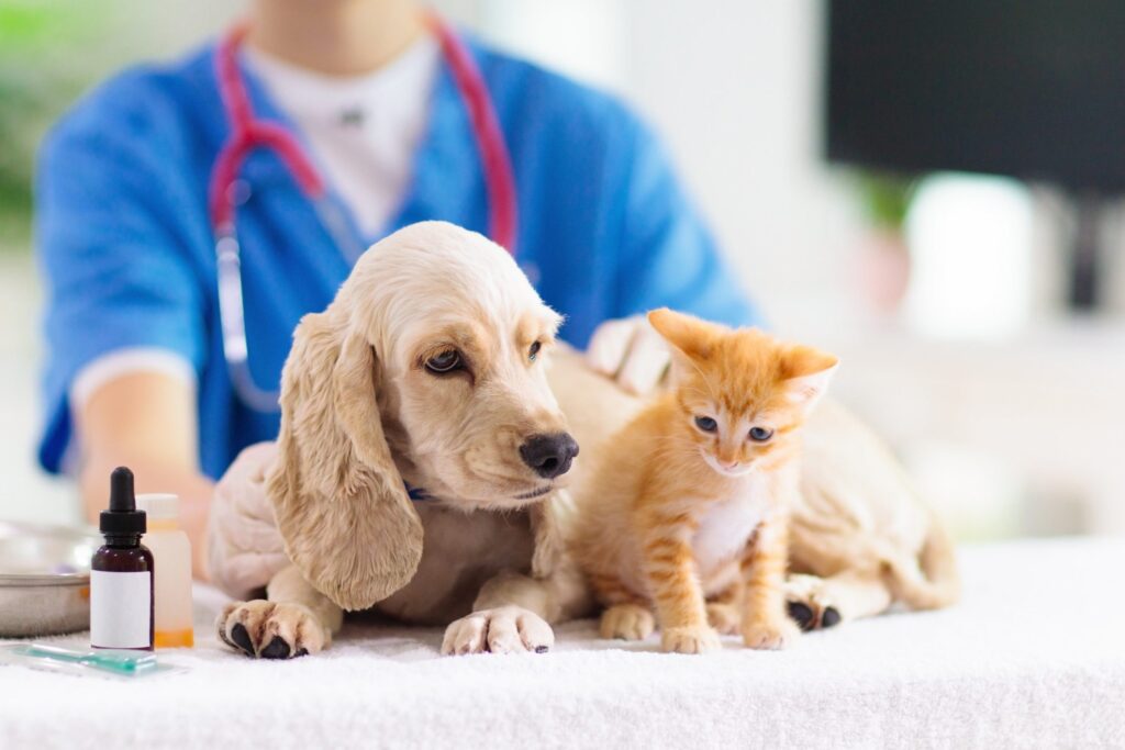 wellness checkup min scaled