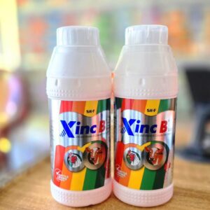 xinc b
