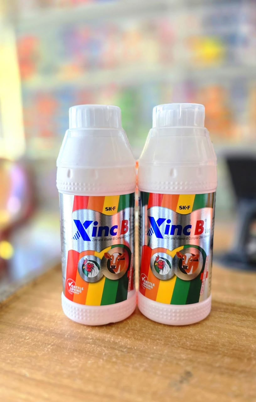 xinc b xinc b